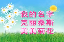 大班語言情景閱讀我的名字克麗桑斯美美菊花PPT課件視頻音頻