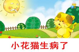 小班語言小花貓生病了PPT課件