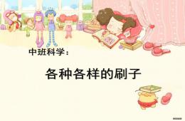 中班科學各種各樣的刷子PPT課件