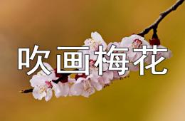 大班美術(shù)吹畫梅花PPT課件