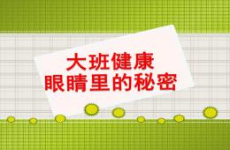 大班健康保健眼睛的秘密PPT課件