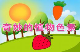 中班科學(xué)奇妙的植物色素PPT課件視頻