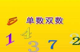 大班數學單數雙數PPT課件