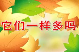 中班數(shù)學(xué)活動(dòng)它們一樣多嗎PPT課件