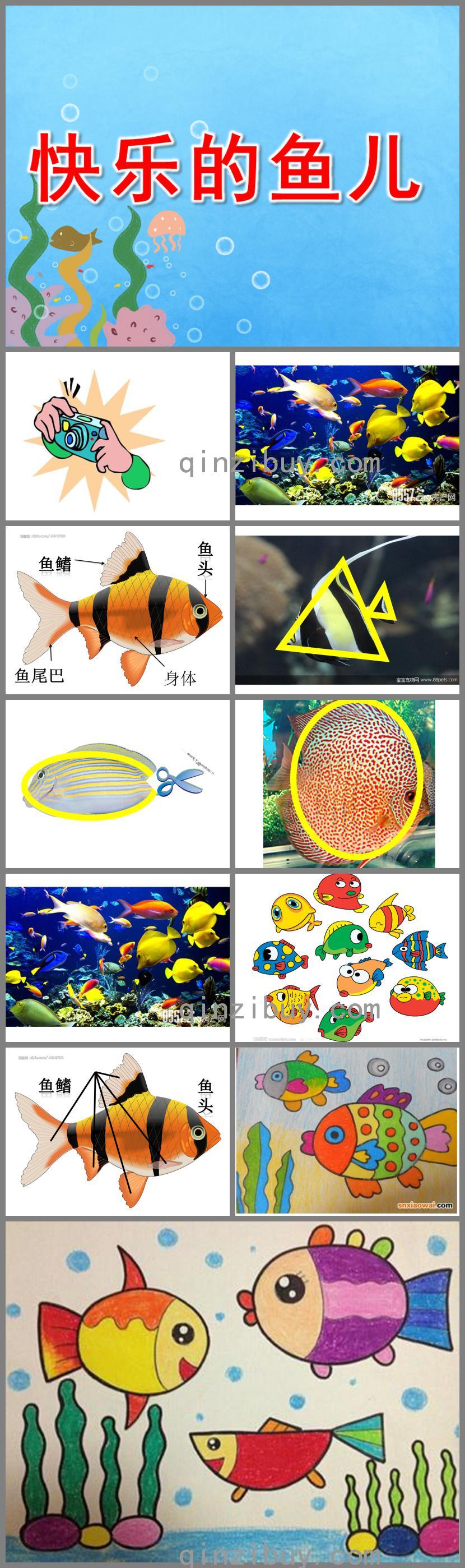 中班美術快樂的魚兒PPT課件