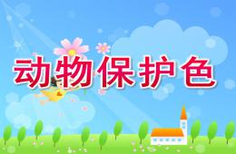 大班動物保護色PPT課件