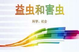 中班科學益蟲和害蟲PPT課件