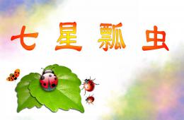 幼兒園美術七星瓢蟲PPT課件音頻