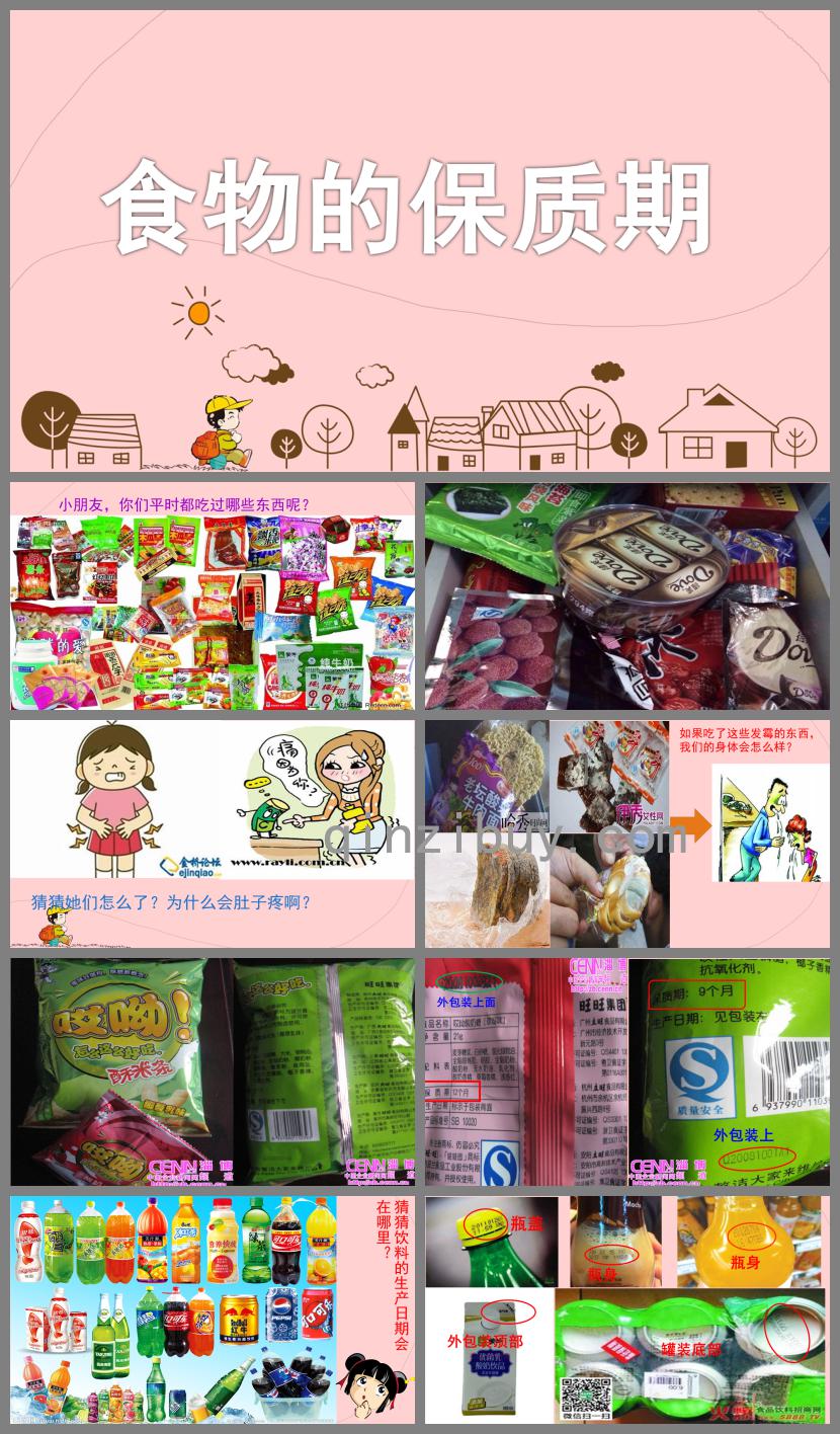 大班科學食物的保質期PPT課件