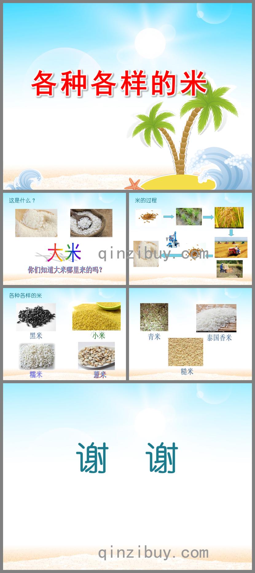 大班科學各種各樣的米PPT課件
