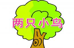幼兒園歌曲兩只小鳥PPT課件音樂