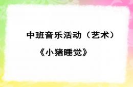幼兒園中班音樂藝術(shù)說課稿小豬睡覺PPT課件