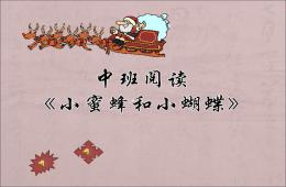 中班閱讀小蜜蜂與小蝴蝶PPT課件