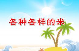 大班科學各種各樣的米PPT課件