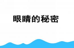 中班健康眼睛的秘密PPT課件