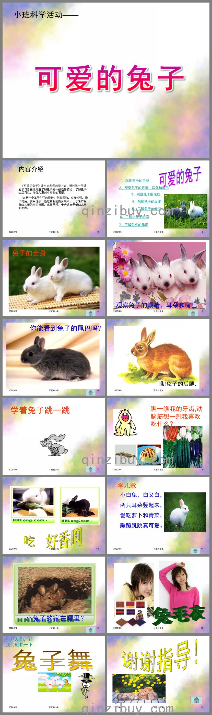 小班科學(xué)活動(dòng)可愛(ài)的兔子PPT課件