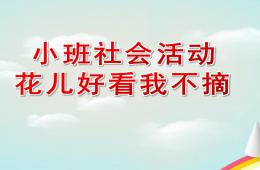 小班社會公開課花兒好看我不摘PPT課件