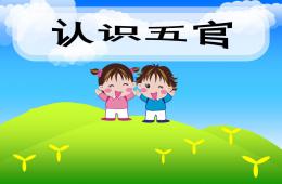 小班五官很重要PPT課件