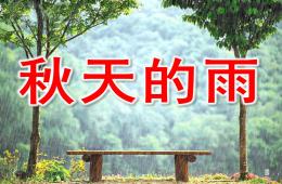 大班語言秋天的雨PPT課件