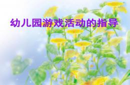幼兒園創造性游戲的指導PPT課件