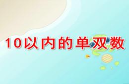大班數學10以內的單雙數PPT課件