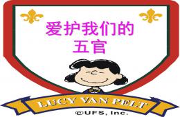 中班健康愛護我們的五官PPT課件