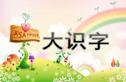 幼兒園學(xué)前班大識字PPT課件