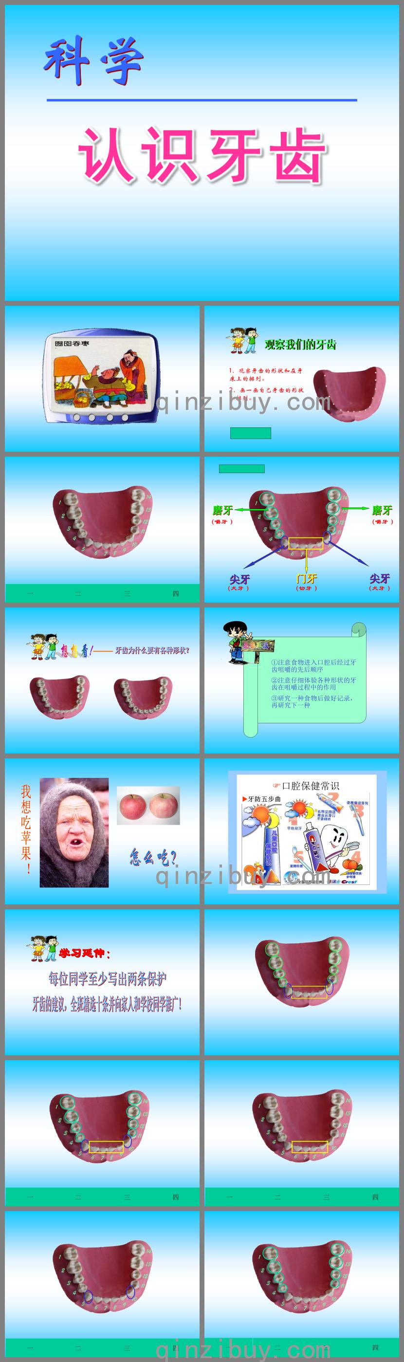 幼兒園科學認識牙齒PPT課件