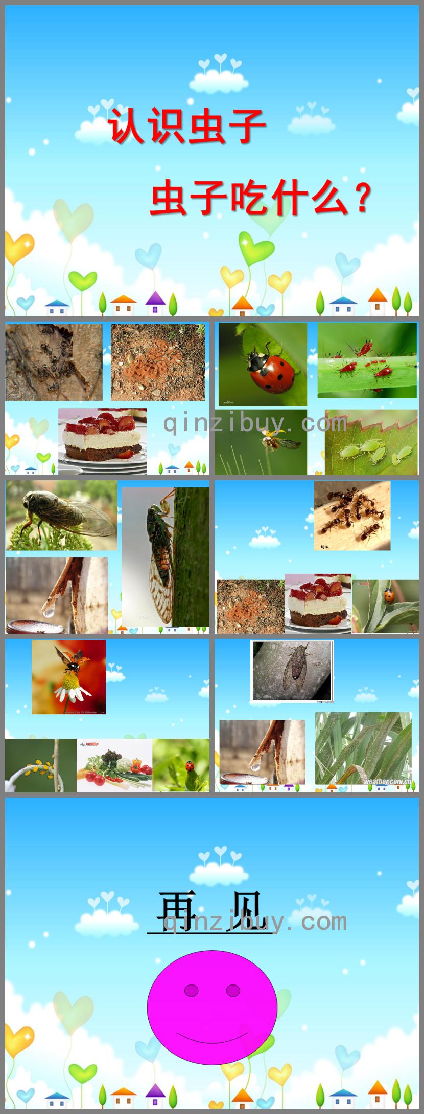 中班社會(huì)認(rèn)識(shí)昆蟲PPT課件