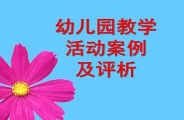幼兒園教學活動案例及評析PPT課件
