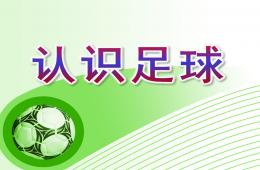 大班體育認識足球PPT課件
