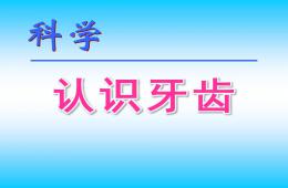 幼兒園科學認識牙齒PPT課件