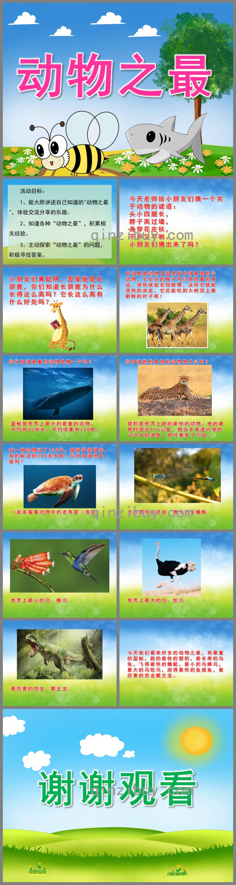 大班科學動物之最PPT課件