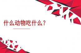 小班語言活動什么動物吃什么PPT課件