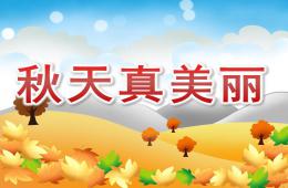 中班語言秋天真美麗PPT課件