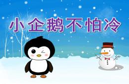 中班美術(shù)小企鵝不怕冷PPT課件