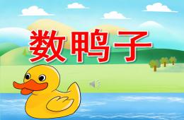 大班音樂(lè)數(shù)鴨子PPT課件音頻