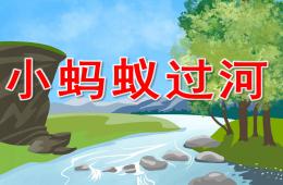 小班科學小螞蟻過河PPT課件