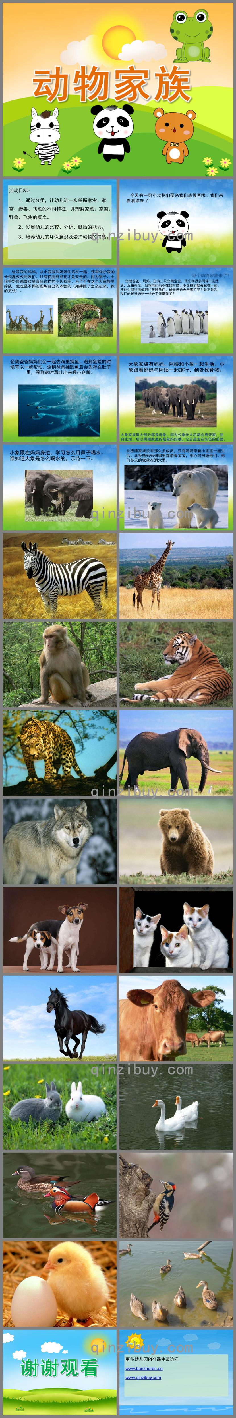 大班科學動物家族PPT課件