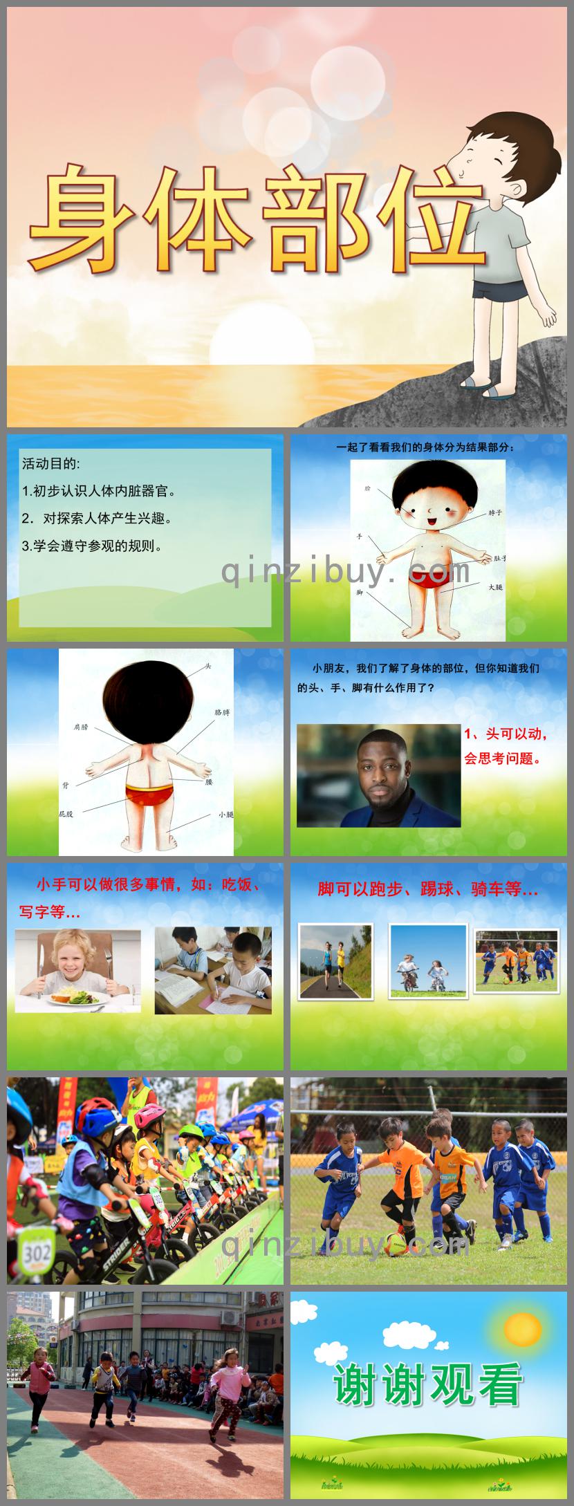 大班健康身體部位PPT課件