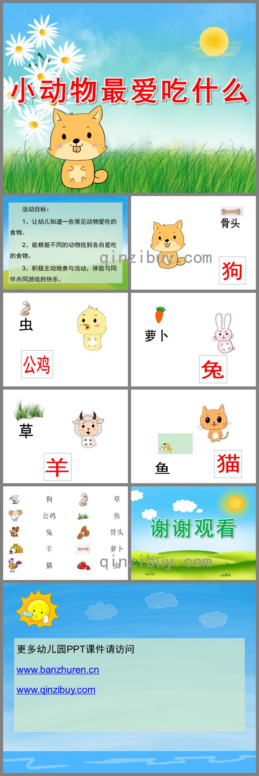 大班科學常識小動物最愛吃什么PPT課件