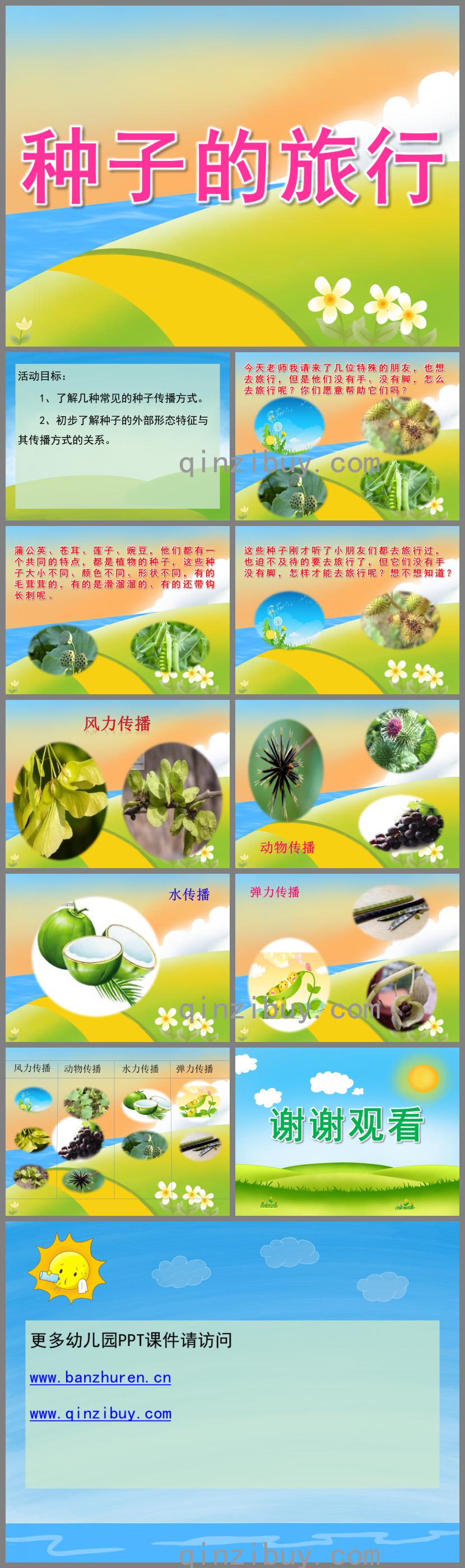 大班科學種子的旅行PPT課件視頻