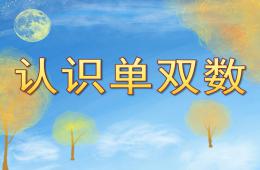 大班數學認識單雙數PPT課件