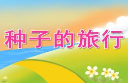大班科學種子的旅行PPT課件視頻