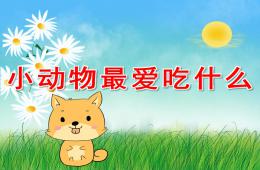 大班科學常識小動物最愛吃什么PPT課件