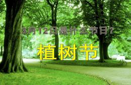 幼兒園大班植樹節活動PPT課件