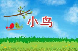 中班美術小鳥PPT課件