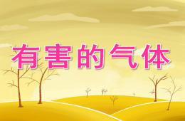 大班健康有害的氣體PPT課件