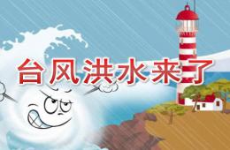 大班科學(xué)臺(tái)風(fēng)洪水來了PPT課件