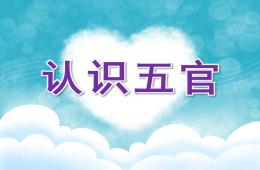 中班英語認識五官PPT課件